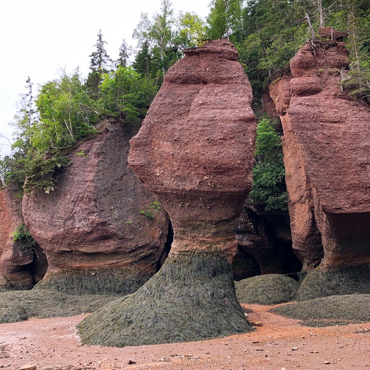 Geohazards field example: sea stack at Hopewell Rocks Provincial Park